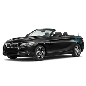 2 Series Cabrio