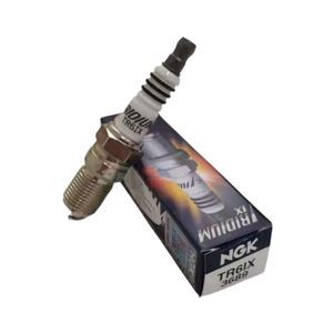 Spark Plug NGK 3689 TR6IX