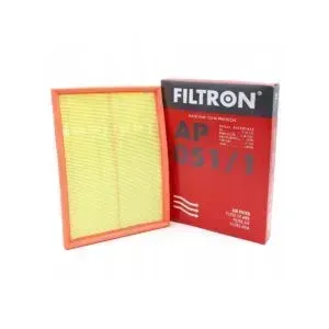 Air Filter Filtron AP051/1