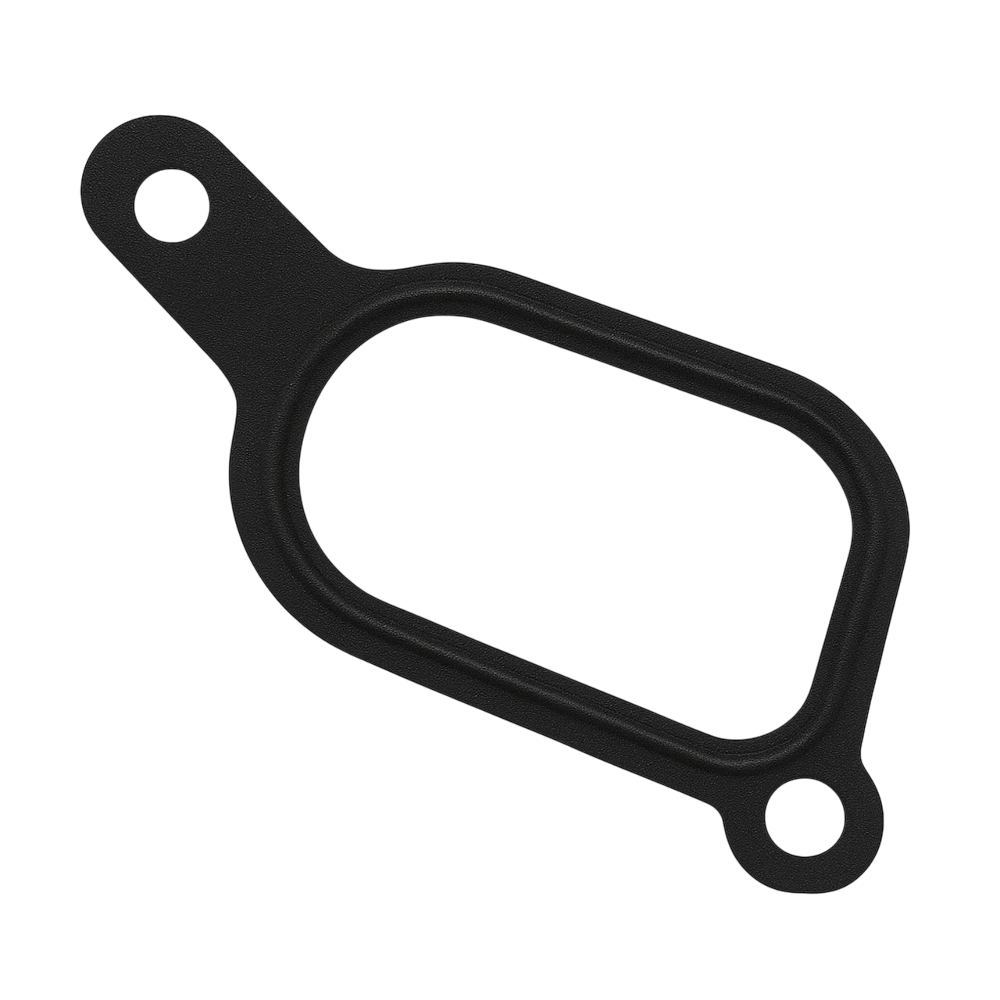 Thermostat gasket