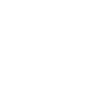 Vast variety of genuine and analogue auto parts