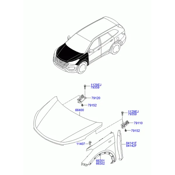 крылья и панель капота