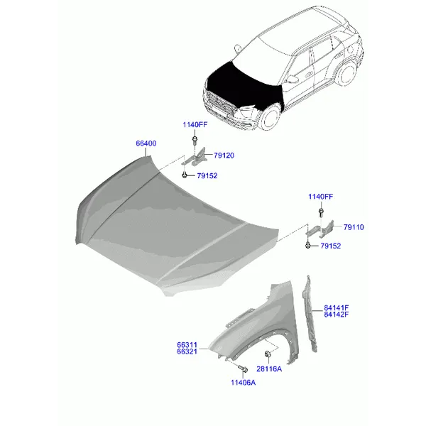 крылья и панель капота