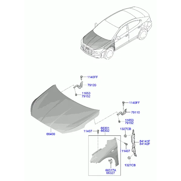 крылья и панель капота
