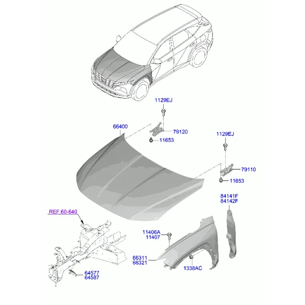 крылья и панель капота