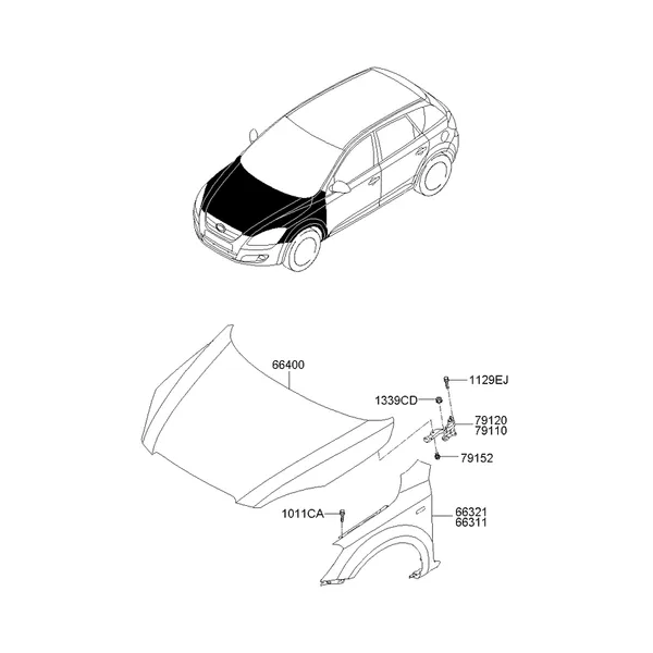 крылья и панель капота