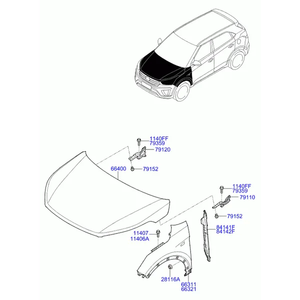 крылья и панель капота