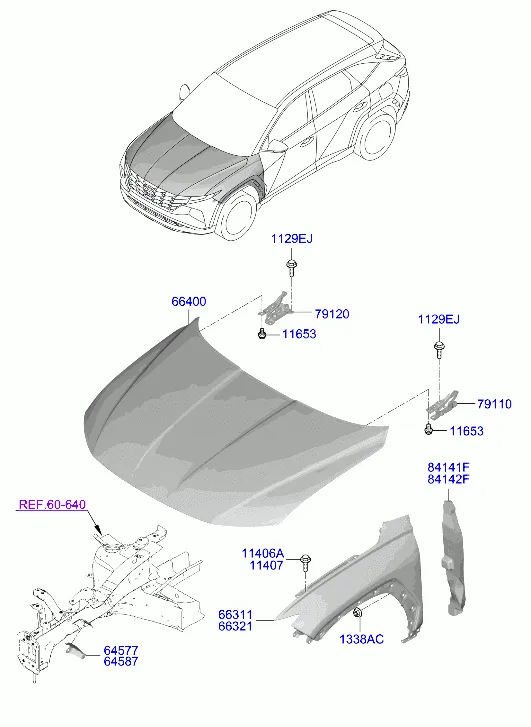 крылья и панель капота