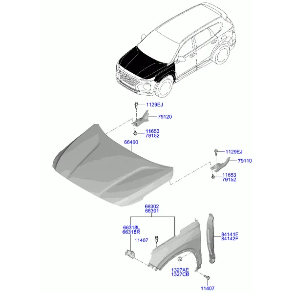 крылья и панель капота