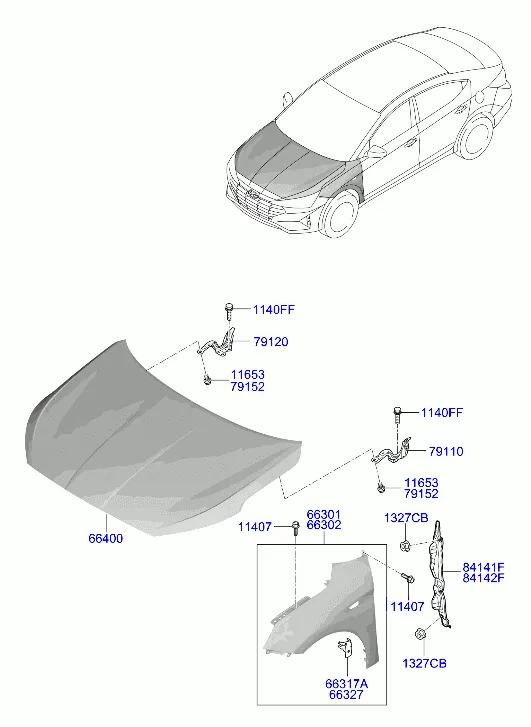 крылья и панель капота