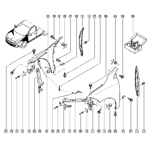 Передние крылья