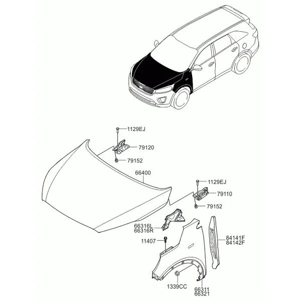 крылья и панель капота