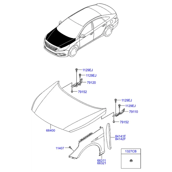 крылья и панель капота
