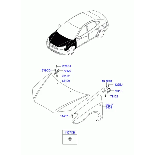крылья и панель капота