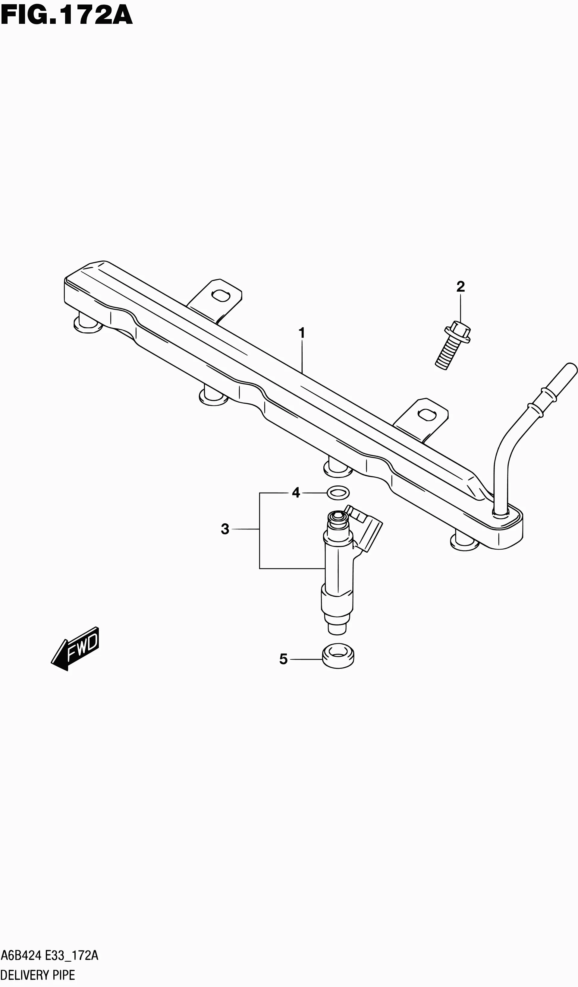 172A - DELIVERY PIPE/FUEL INJECTOR