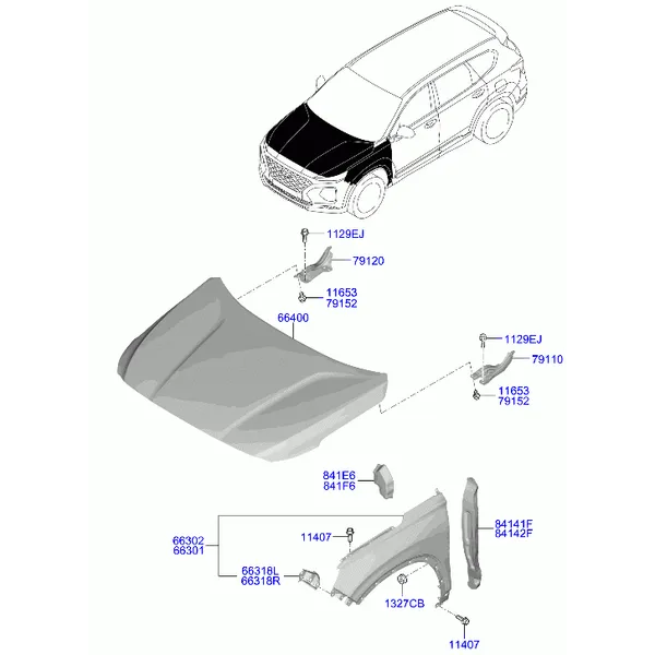 крылья и панель капота